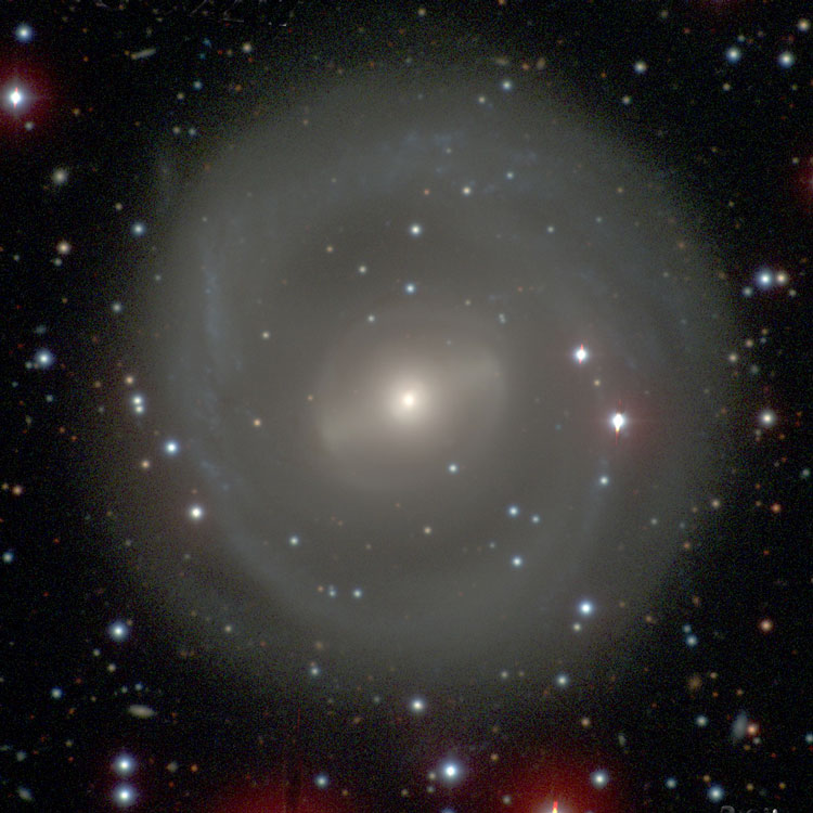 Carnegie-Irvine Galaxy Survey image of lenticular galaxy NGC 2217
