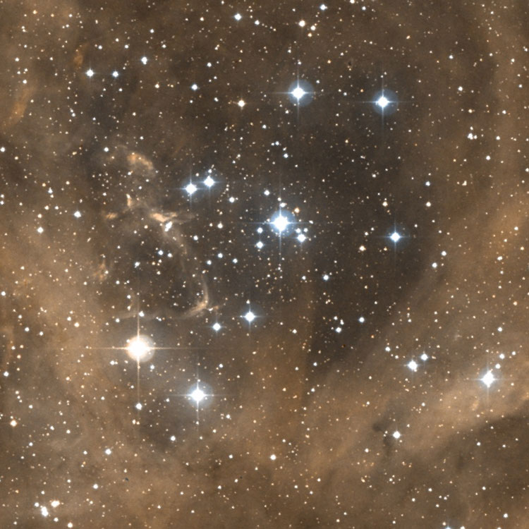 DSS image of open cluster NGC 2244