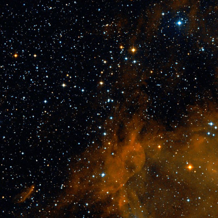DSS image of region centered on open cluster NGC 2252