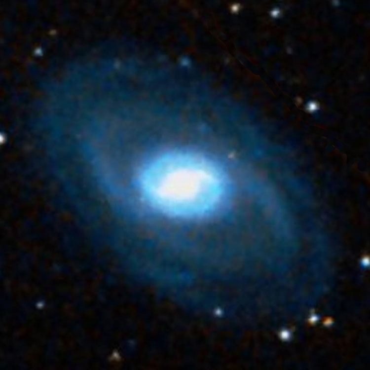 DSS image of spiral galaxy NGC 2273