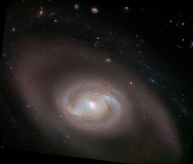 HST image of most of spiral galaxy NGC 2273