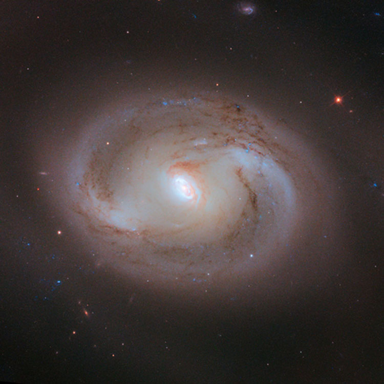 HST image of the central bright region of spiral galaxy NGC 2273