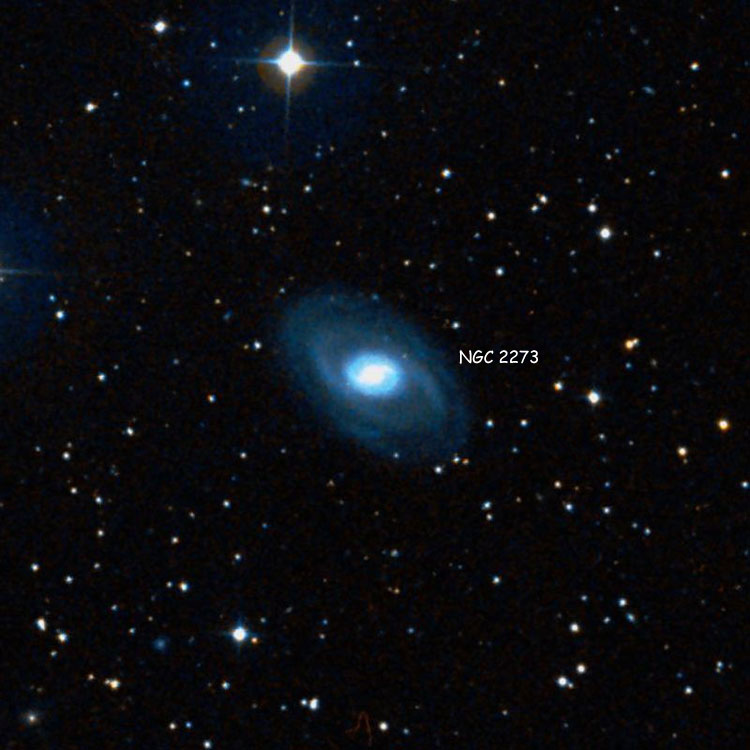 DSS image of region near spiral galaxy NGC 2273