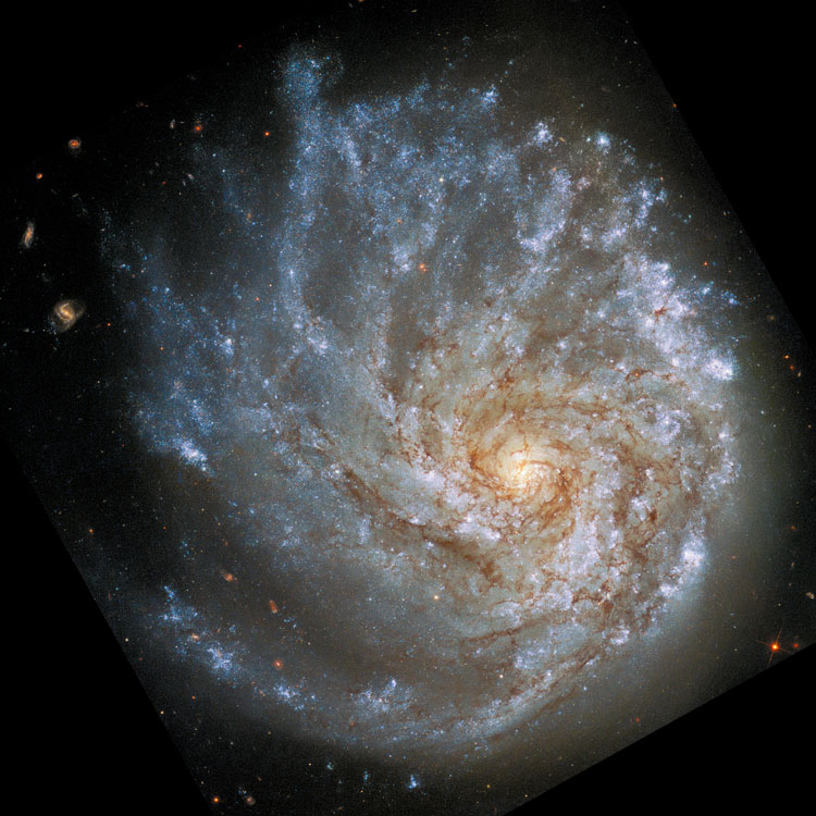 HST image of spiral galaxy NGC 2276, also known as Arp 25