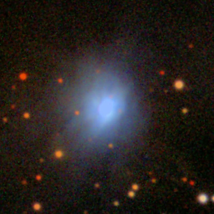 SDSS image of reflection nebula IC 2296