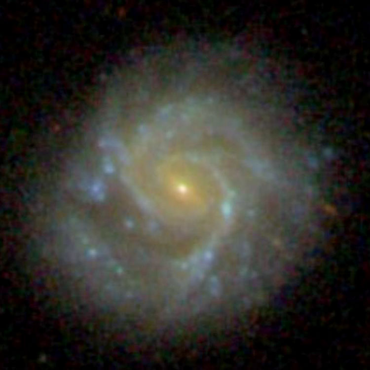 SDSS image of spiral galaxy NGC 236
