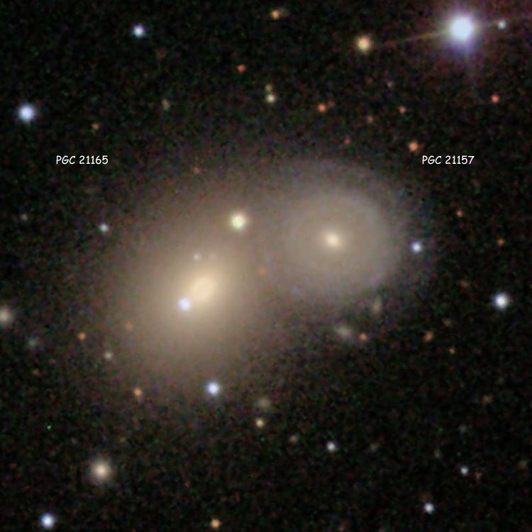 SDSS image of the pair of spiral galaxies listed as NGC 2398