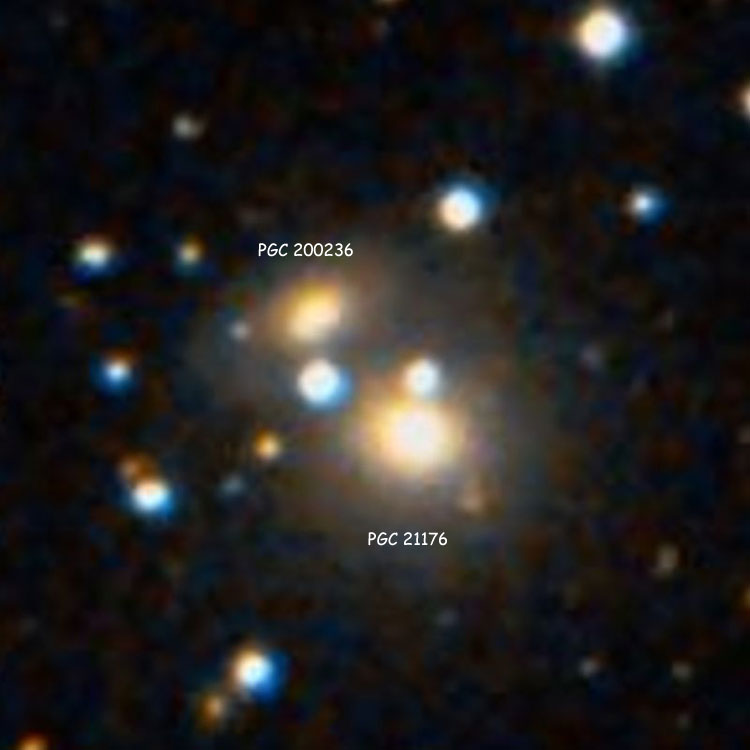 DSS image of interacting galaxy pair NGC 2402
