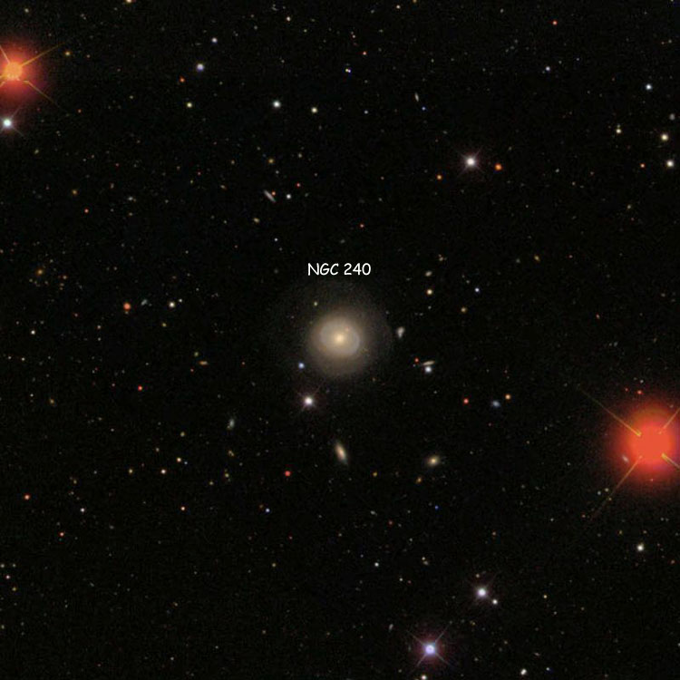 SDSS image of region near lenticulargalaxy NGC 240