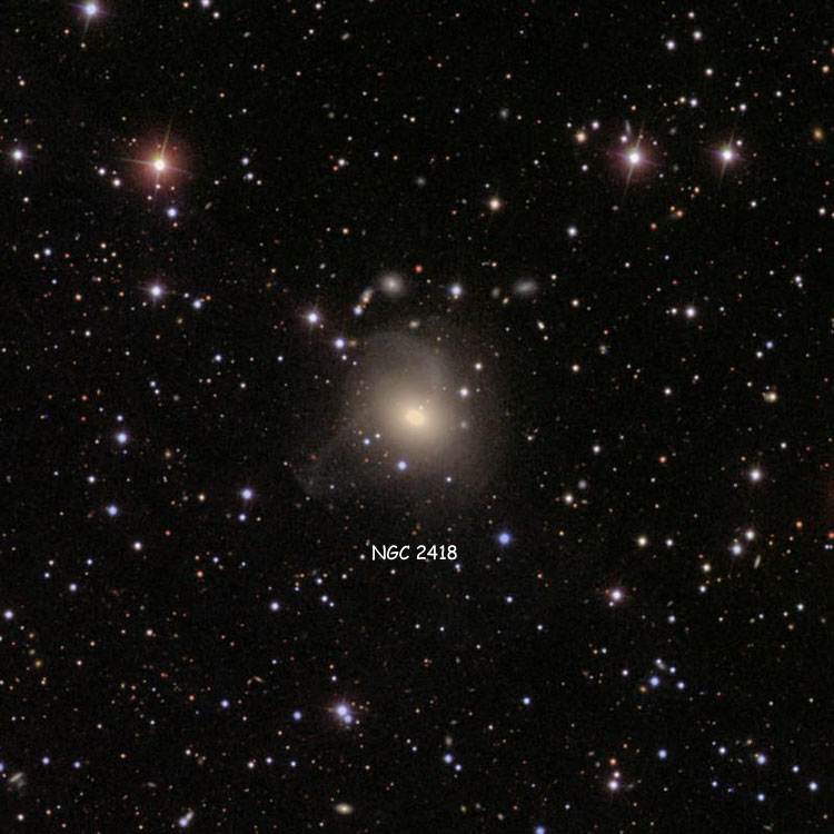 SDSS image of region near elliptical galaxy NGC 2418