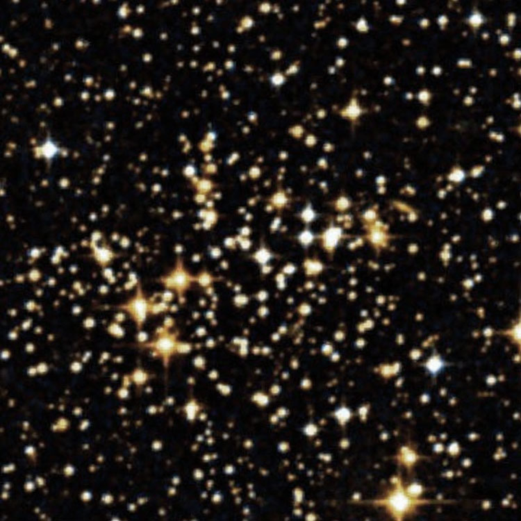 DSS image of open cluster NGC 2425