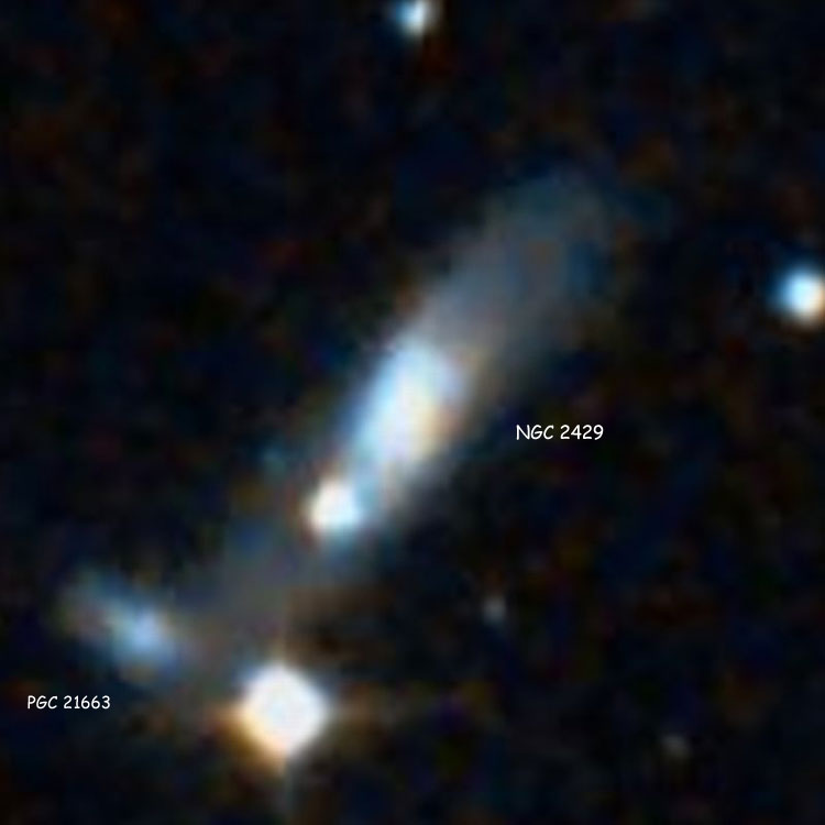 DSS image of peculiar spiral galaxy NGC 2429 and its lenticular companion, PGC 21663