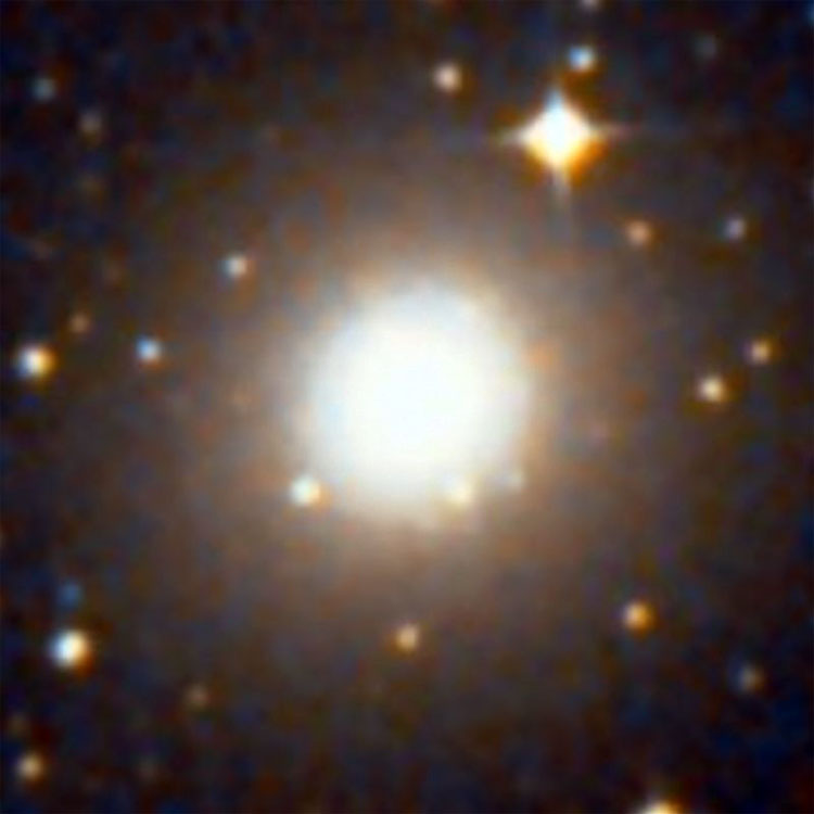DSS image of elliptical galaxy NGC 2434