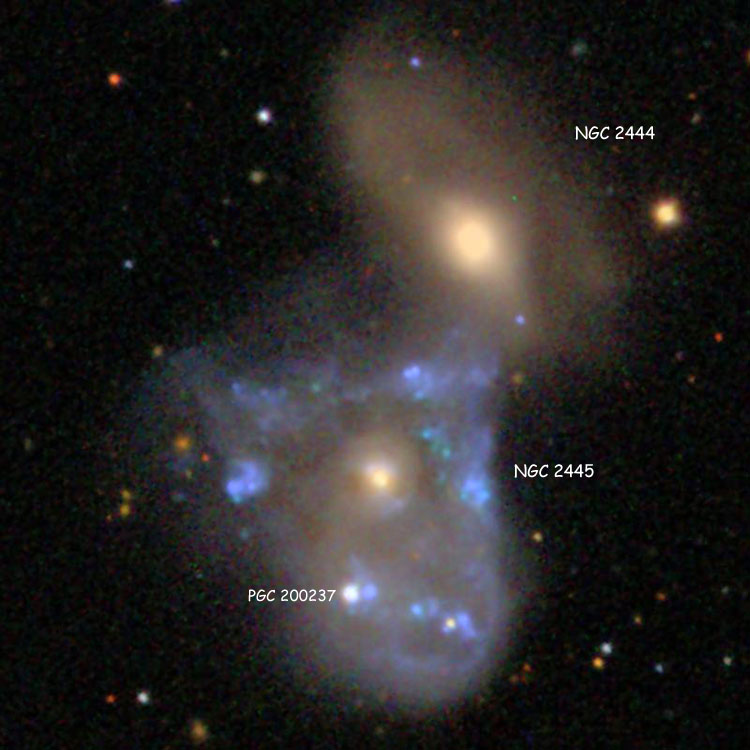 SDSS image of lenticular galaxy NGC 2444 and peculiar galaxy NGC 2445, collectively known as Arp 143