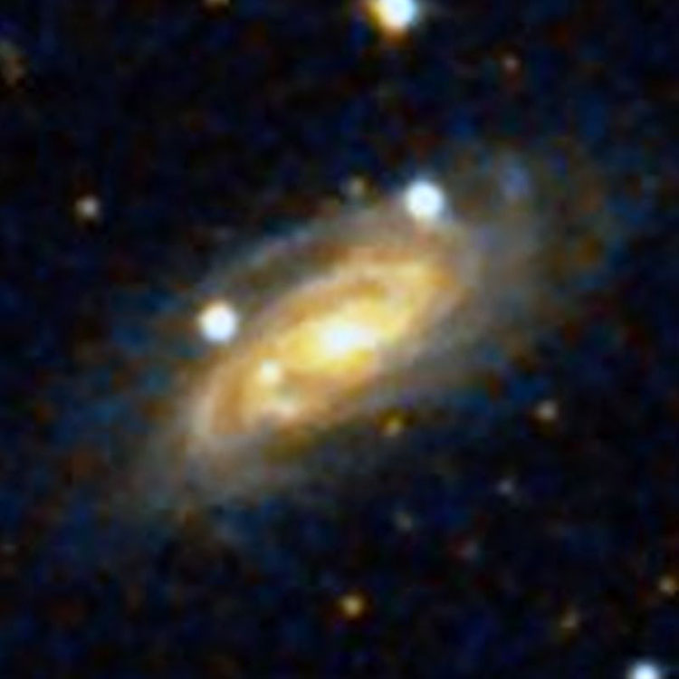 DSS image of spiral galaxy NGC 2446