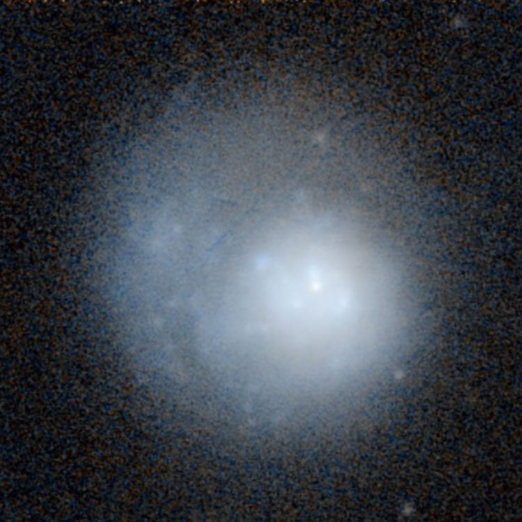 PanSTARRSS image of  irregular galaxy NGC 244