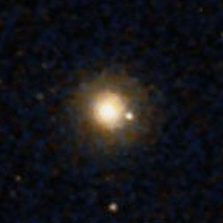 DSS image of elliptical galaxy NGC 2463
