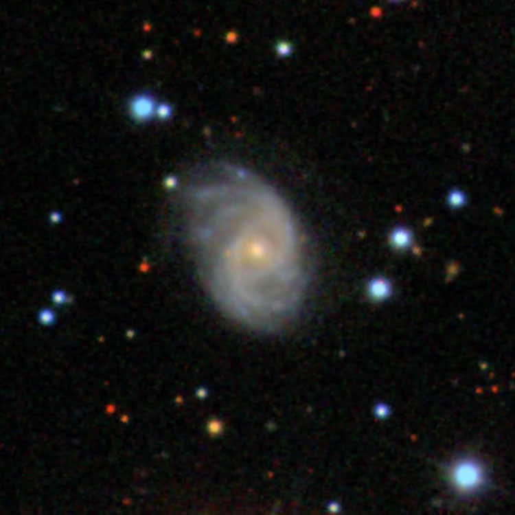 SDSS image of spiral galaxy NGC 2499