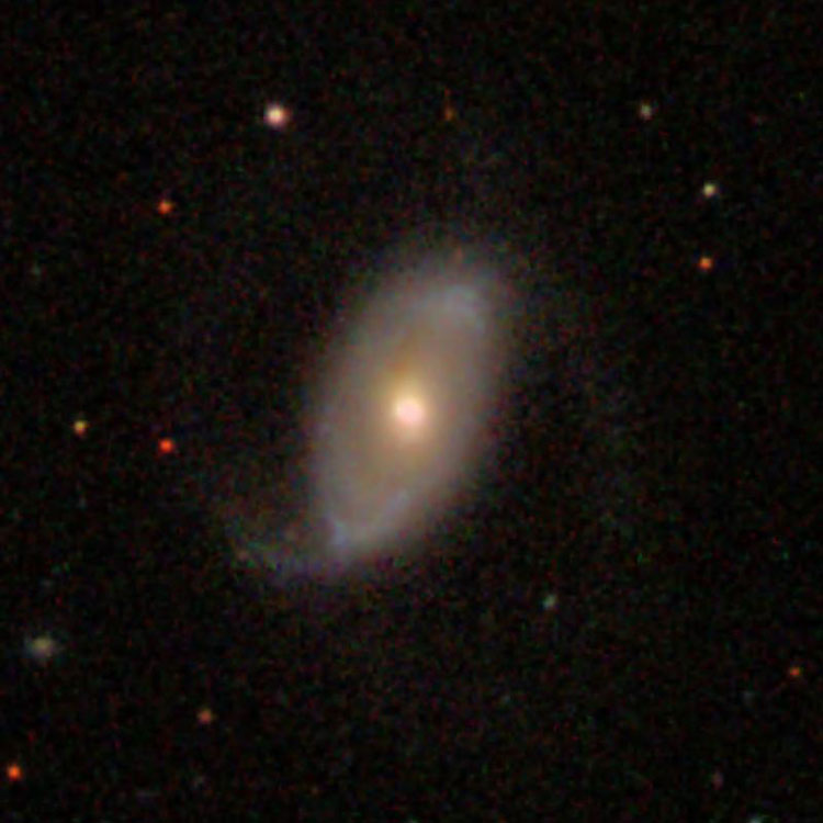SDSS image of lenticular galaxy NGC 250