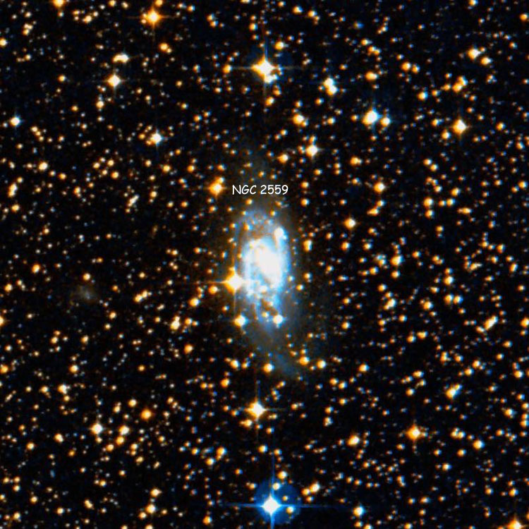 DSS image of region near spiral galaxy NGC 2559