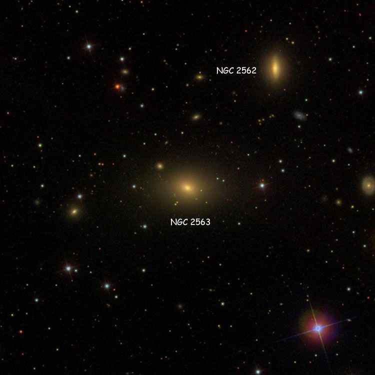 SDSS image of region near lenticular galaxy NGC 2563, also showing NGC 2562