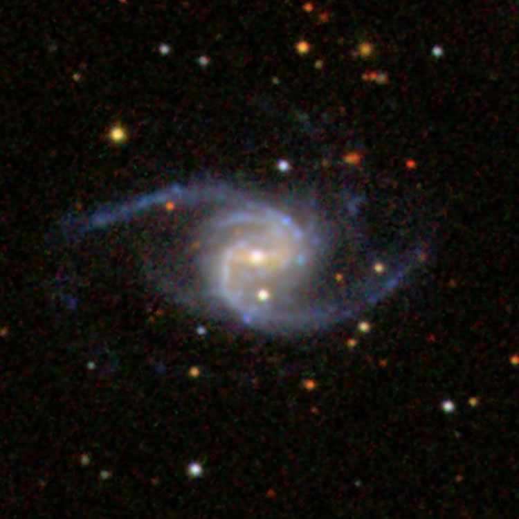 SDSS image of spiral galaxy NGC 2585
