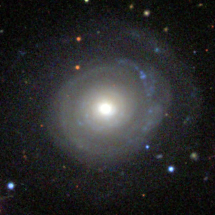SDSS image of spiral galaxy NGC 2599