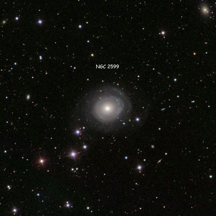 SDSS image of region near spiral galaxy NGC 2599