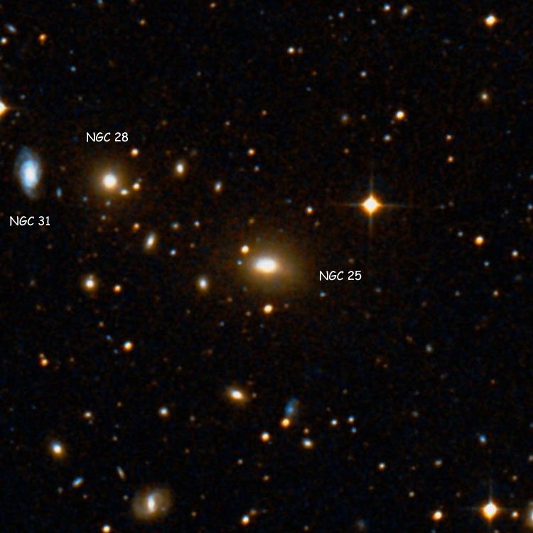DSS image of region near lenticular galaxy NGC 25, also showing NGC 28 and NGC 31