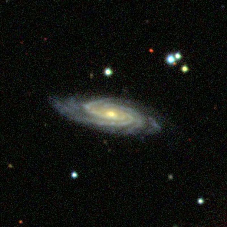 SDSS image of spiral galaxy NGC 2600