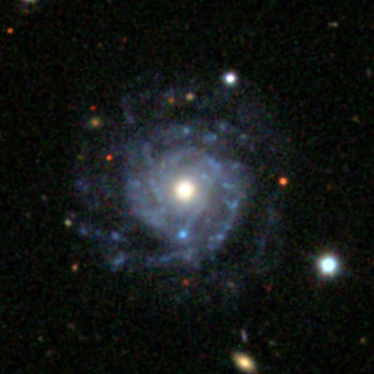 SDSS image of spiral galaxy NGC 2607