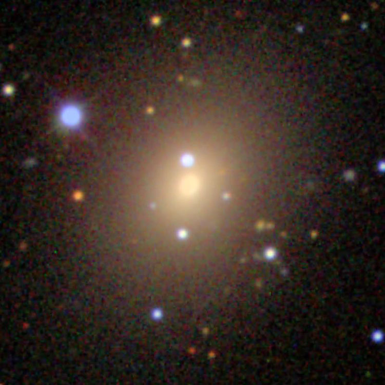 SDSS image of lenticular galaxy NGC 2616