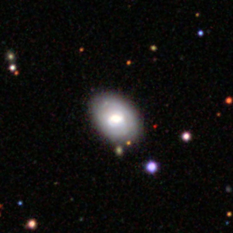 SDSS image of spiral galaxy NGC 2624