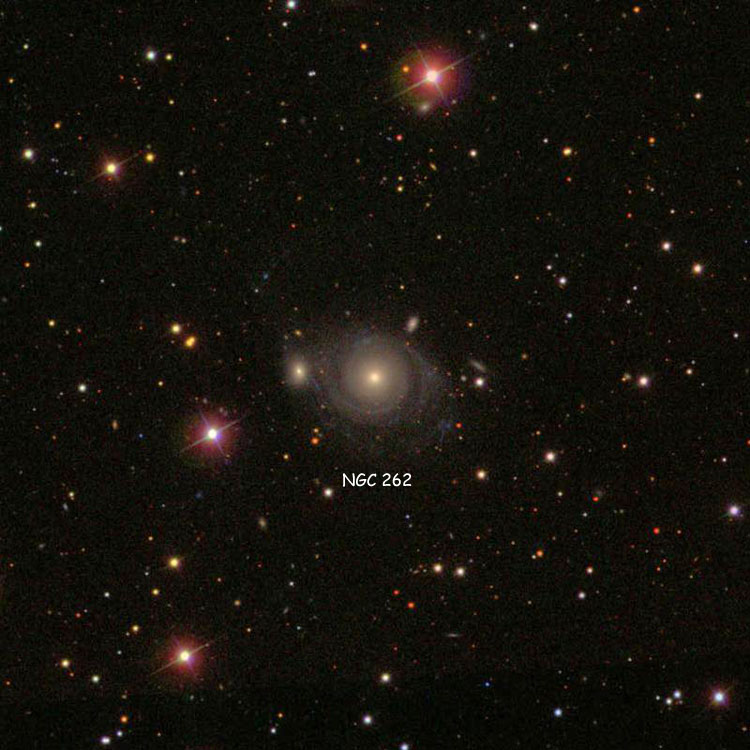 SDSS image of region near lenticular galaxy NGC 262