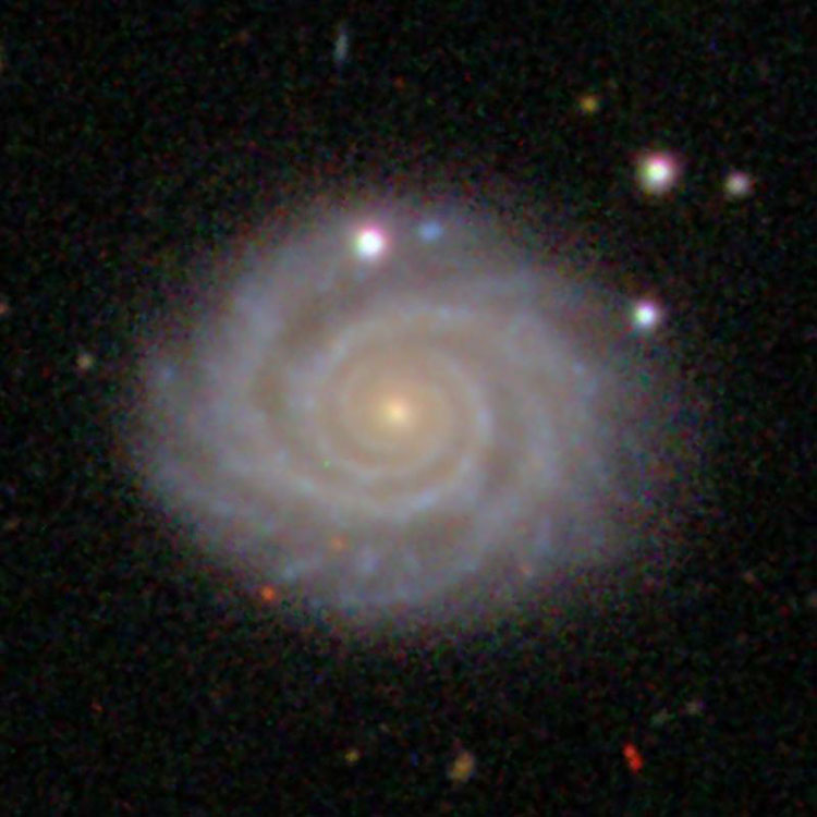 SDSS image of spiral galaxy NGC 2649