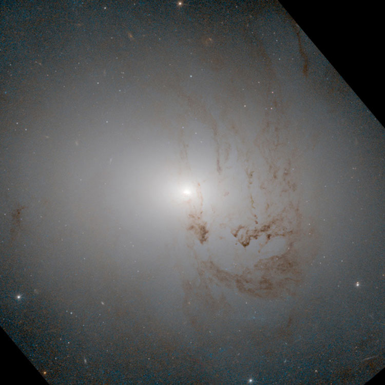 HST image of central portion of lenticular galaxy NGC 2655, also known as Arp 225