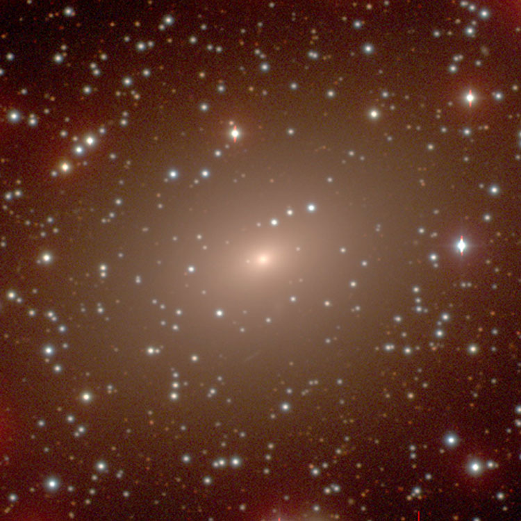 Carnegie-Irvine Galaxy Survey image of elliptical galaxy NGC 2663