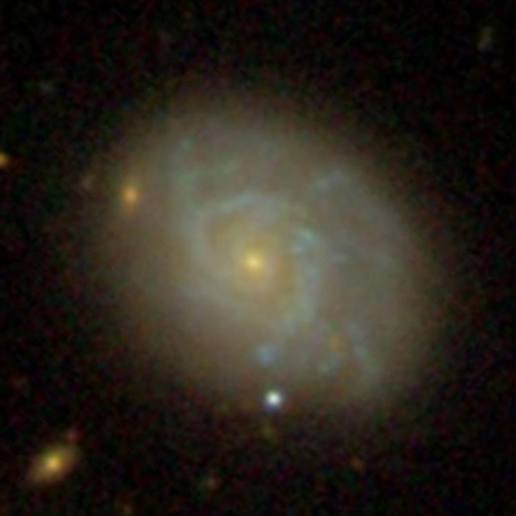 SDSS image of spiral galaxy NGC 2686