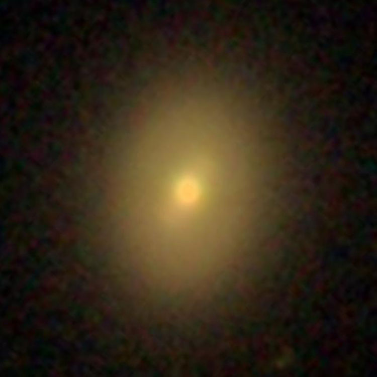 SDSS image of lenticular galaxy NGC 2767