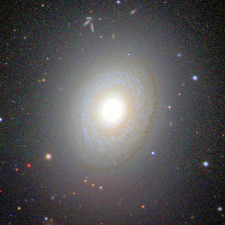 SDSS image of spiral galaxy NGC 2775