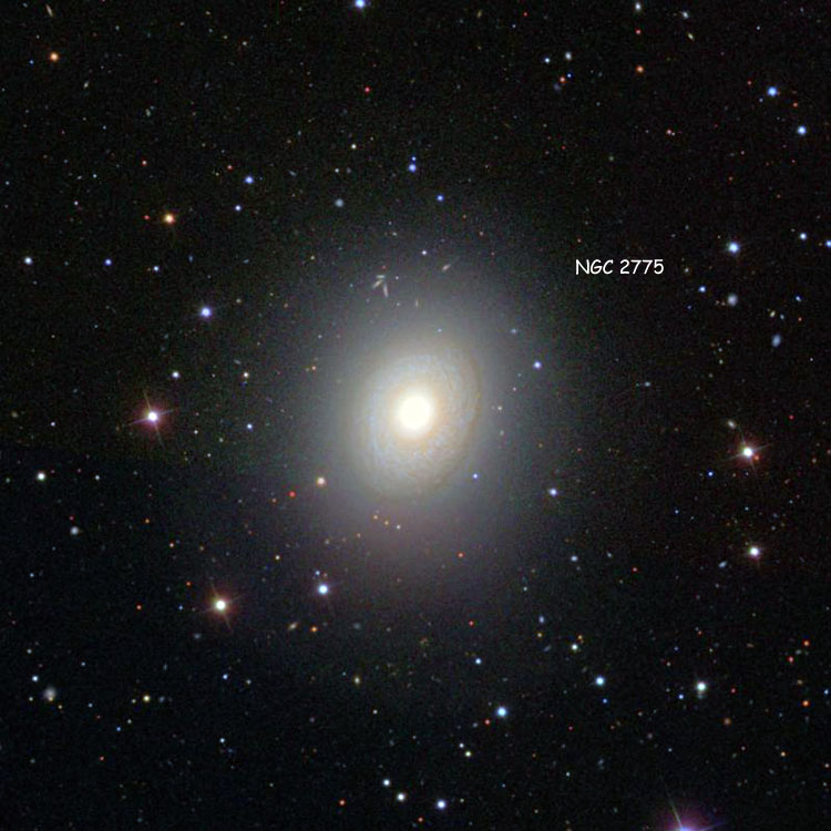 SDSS image of region near spiral galaxy NGC 2775