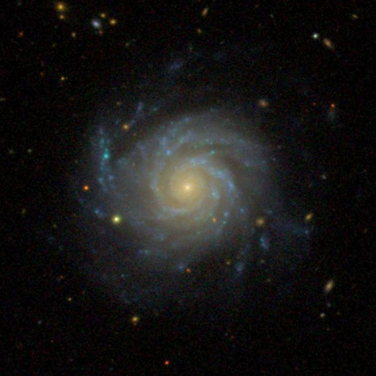 SDSS image of spiral galaxy NGC 2776