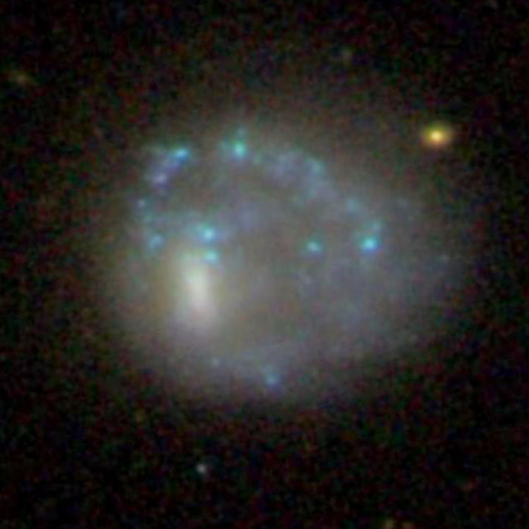 SDSS image of spiral galaxy NGC 2793