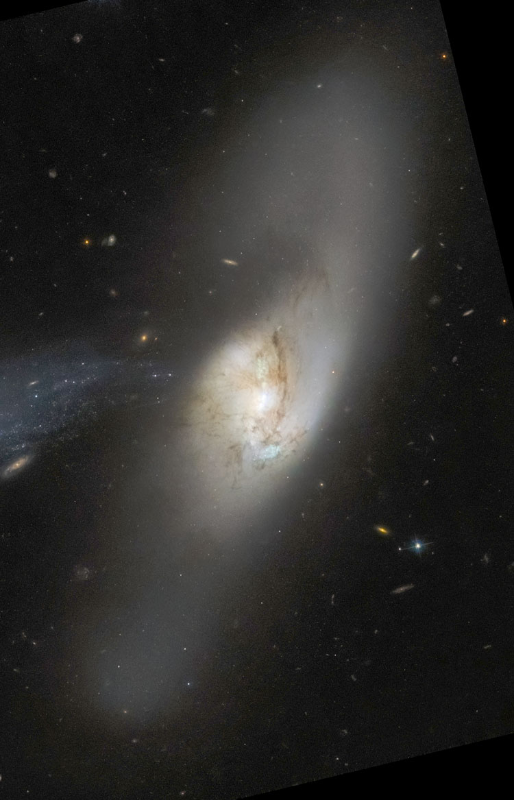 HST image of spiral galaxy NGC 2798, which with NGC 2799 is collectively known as Arp 283