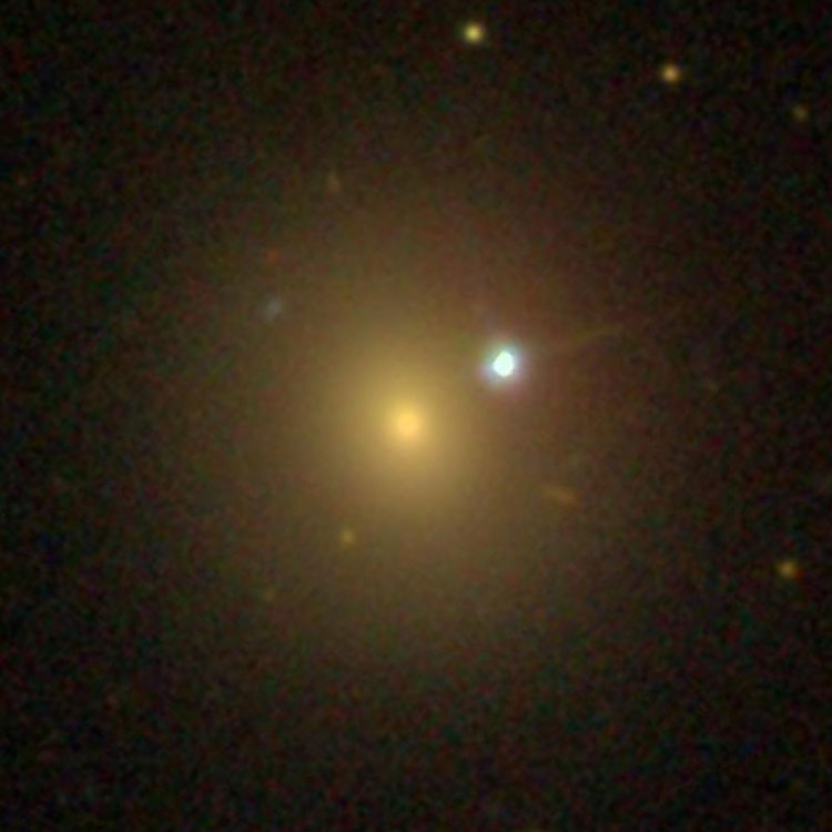 SDSS image of elliptical galaxy NGC 2800