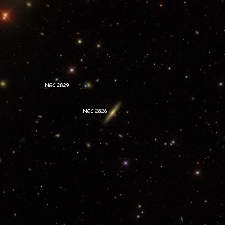 SDSS image of region near lenticular galaxy NGC 2826, also showing the the star listed as NGC 2829