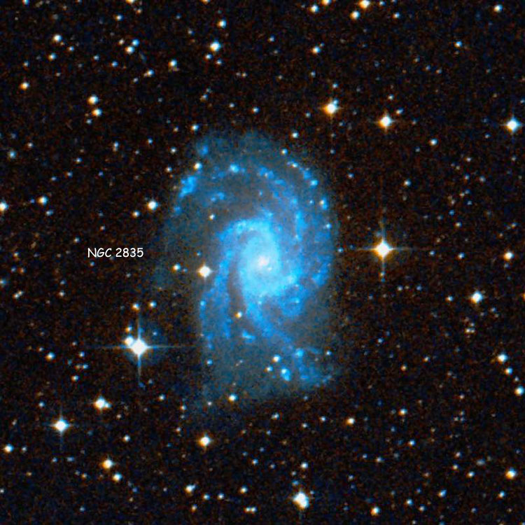 DSS image of region near spiral galaxy NGC 2835