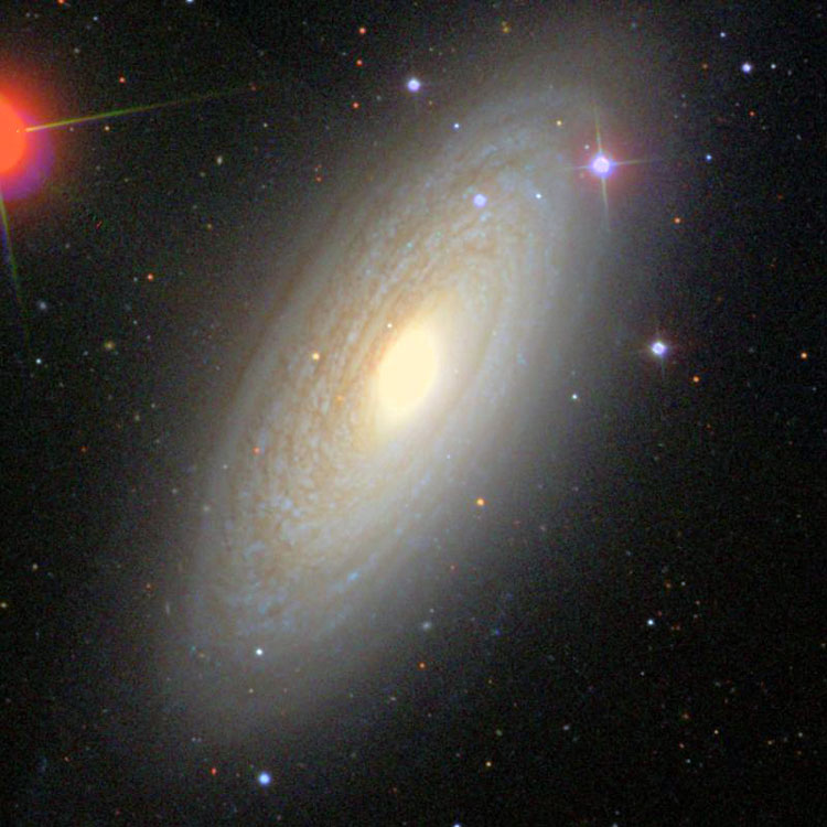 SDSS image of spiral galaxy NGC 2841