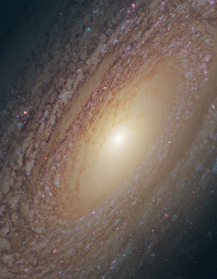 HST image of the central 20% of spiral galaxy NGC 2841