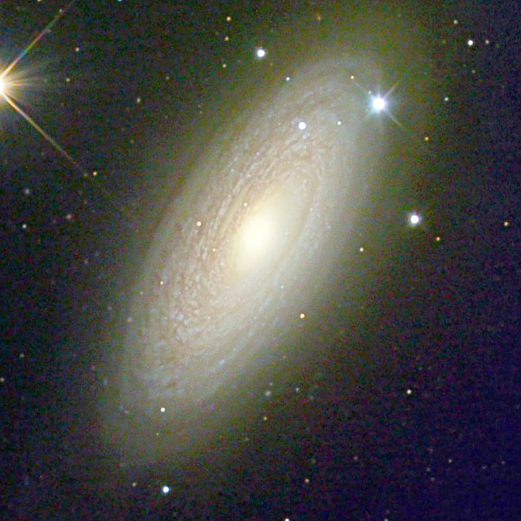 Misti Mountain Observatory image of spiral galaxy NGC 2841, digitally adjusted to match the 8 arcmin wide SDSS image in this entry